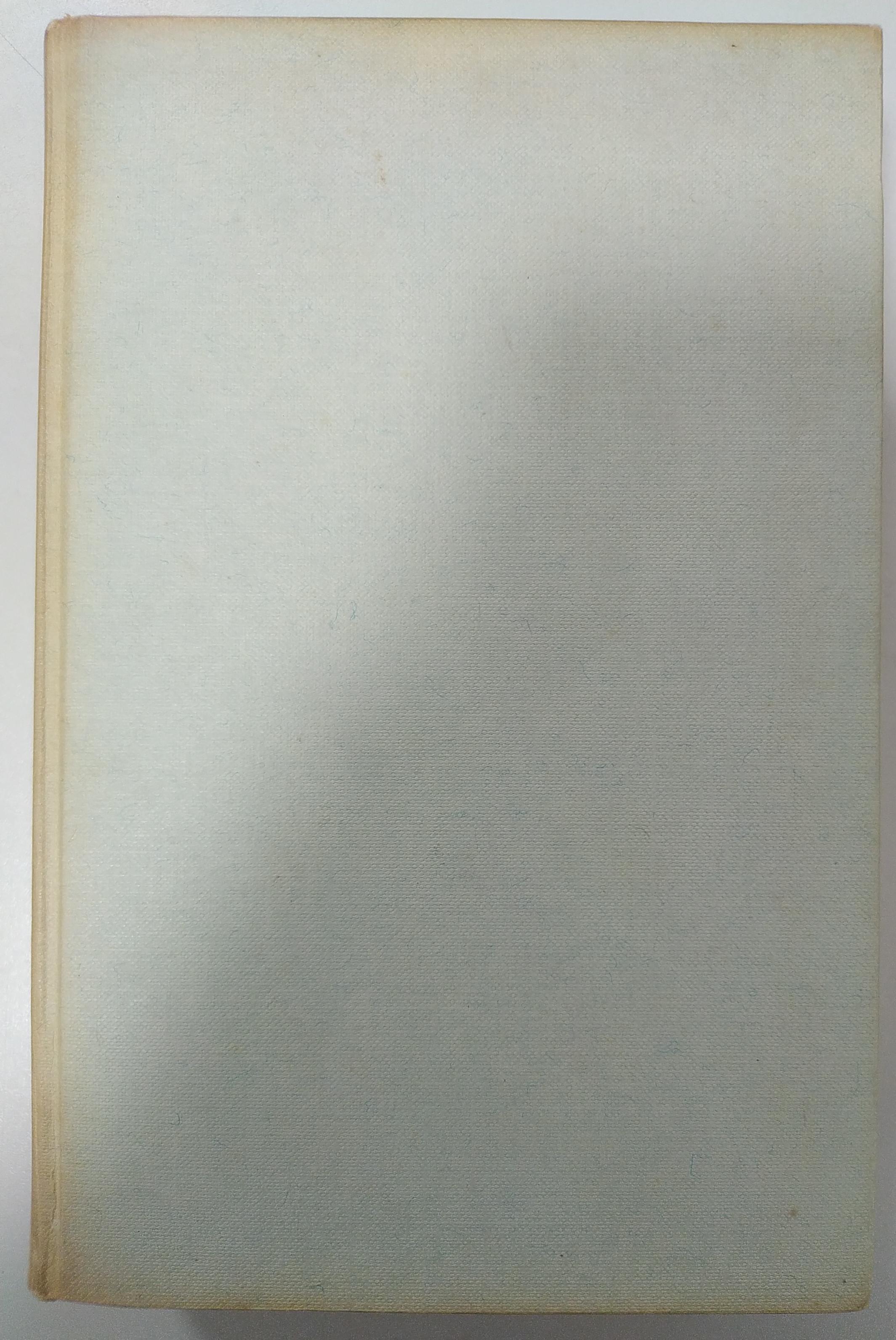 alternative text