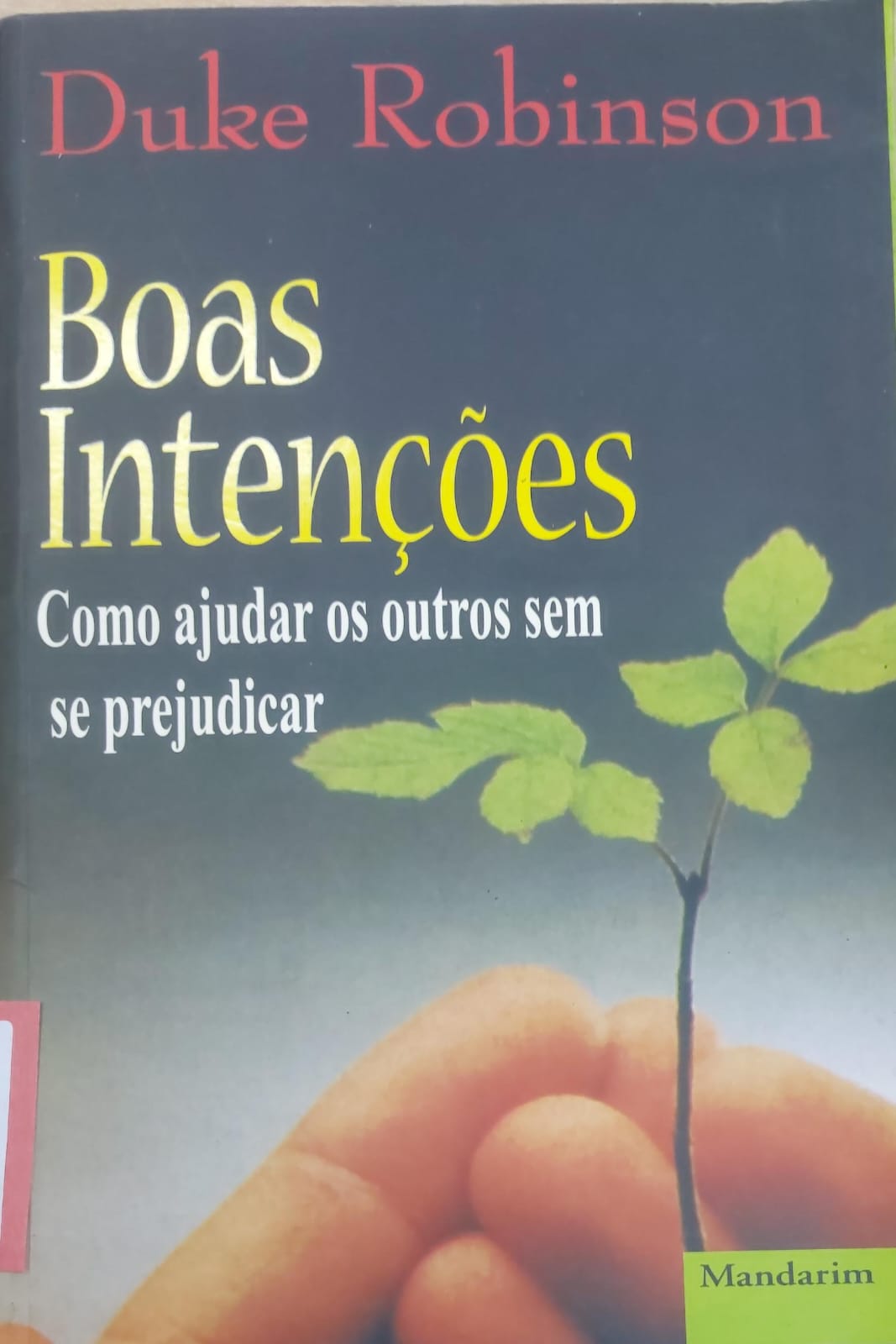 Boas Intenções - Como ajudar os outros sem se prejudicar de Duke Robinson pela Mandarim (1999)
