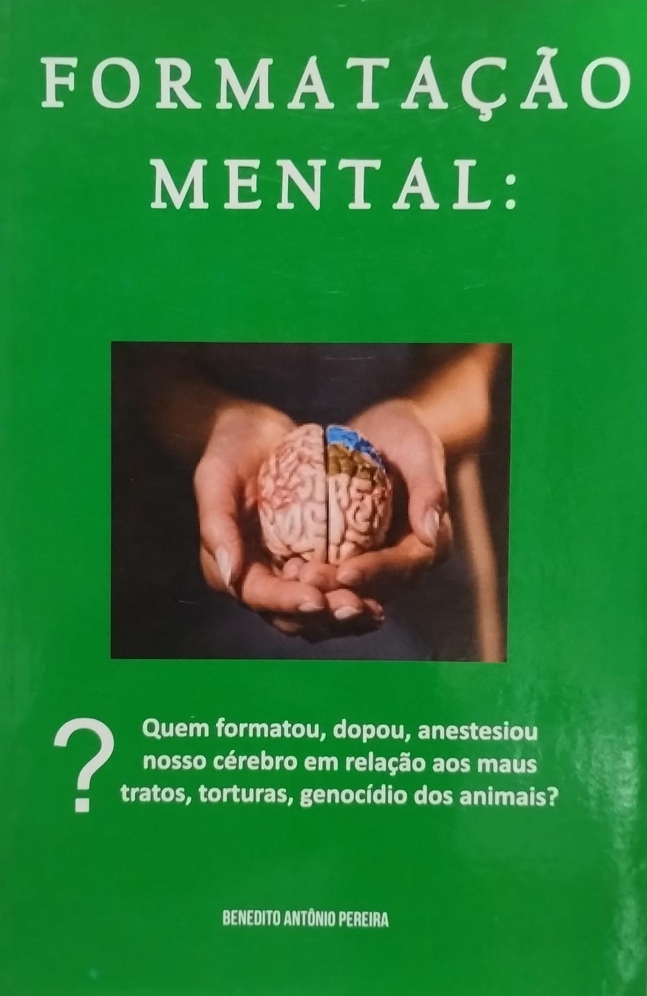 1 Imagem