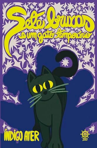 Livro Sete Bruxas e Um Gato Temporário de Índigo Ayer pela Galera Junior (2024)
